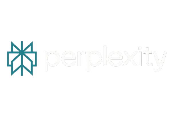 Perplexity